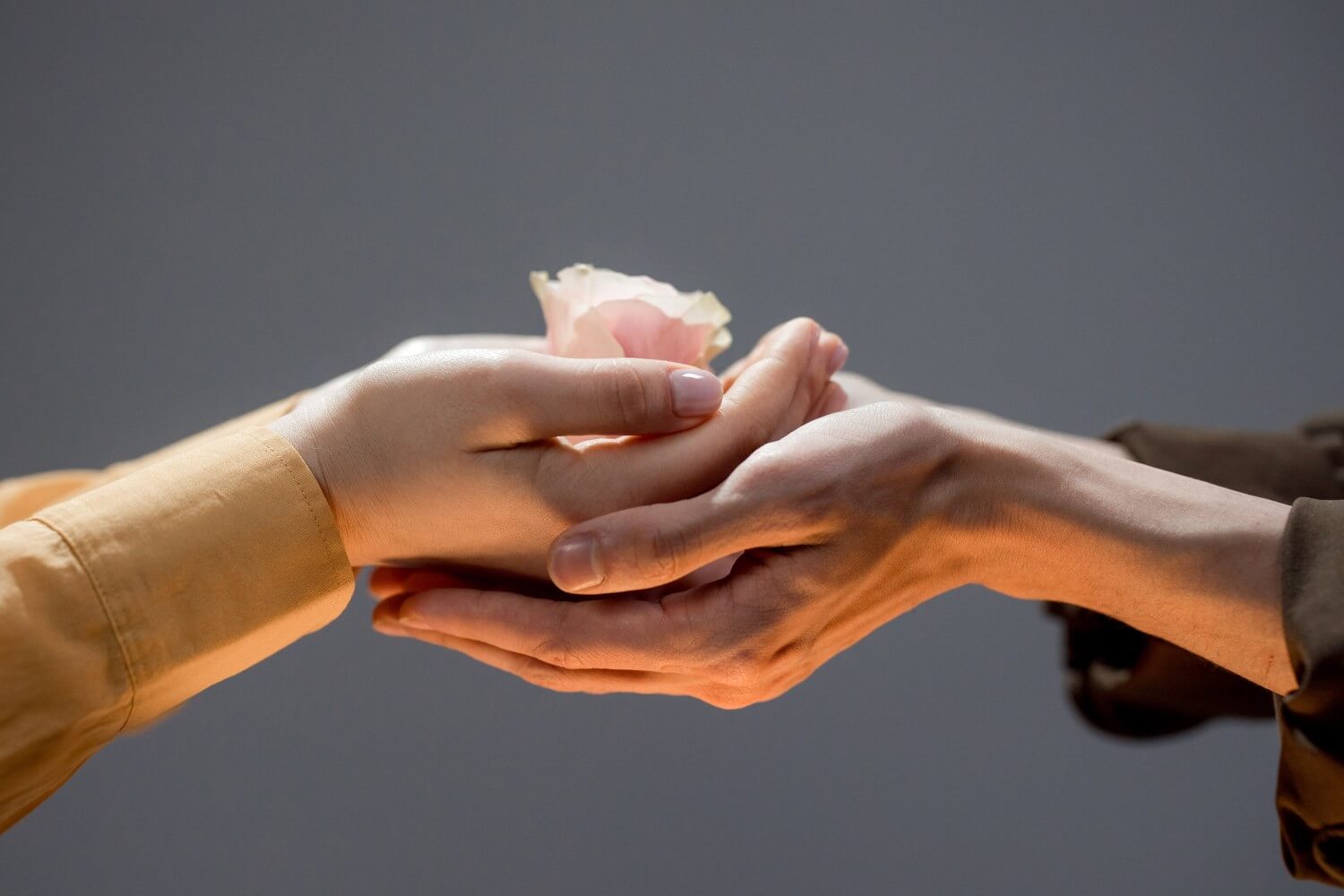 charity