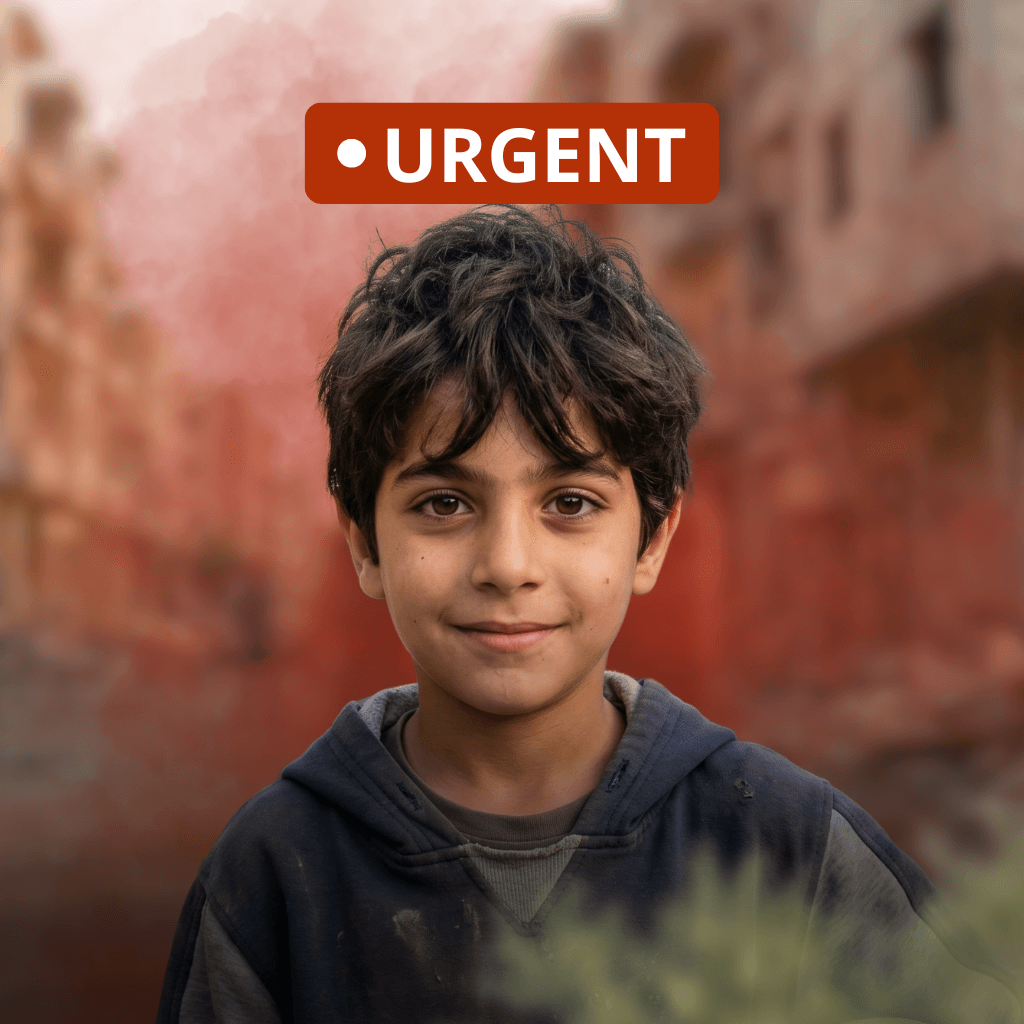 Lebanon Emergency Aid