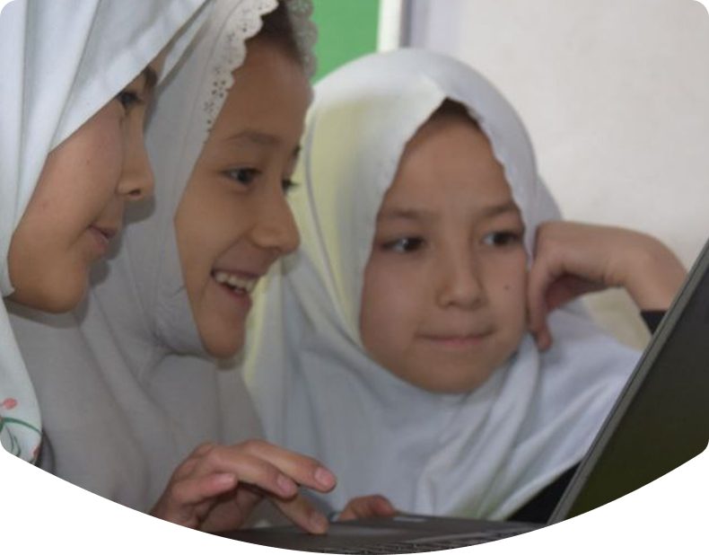 Digital Tools and Skills